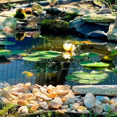 ホームステイ Ferienzimmer Trummer *