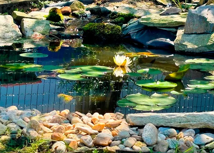 Ubytování v soukromí Ferienzimmer Trummer *